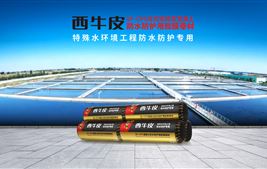 SF-CPS混凝土防水防护用胶膜卷材