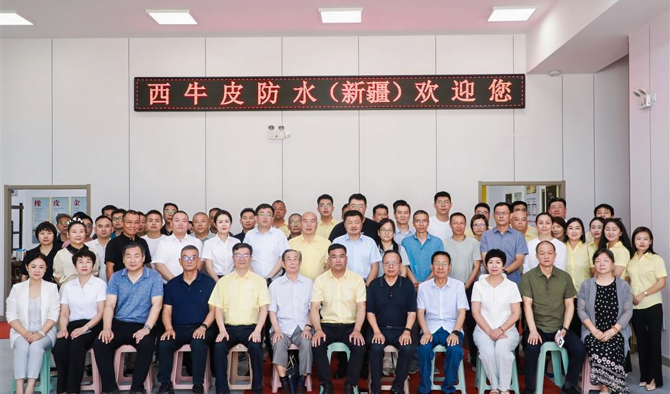 西牛皮，在新疆，排头兵，一定行！