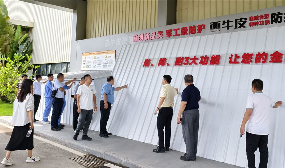 西牛皮（钦州）科技园迎来钦州市工业和信息化局等一行