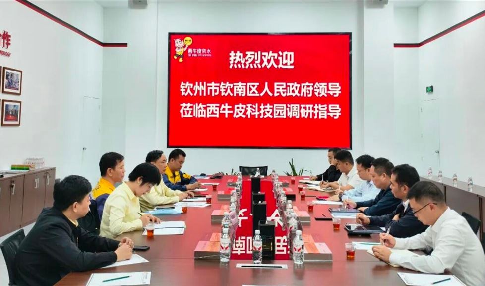 西牛皮（南宁）科技园迎来钦州市钦南区人民政府领导一行