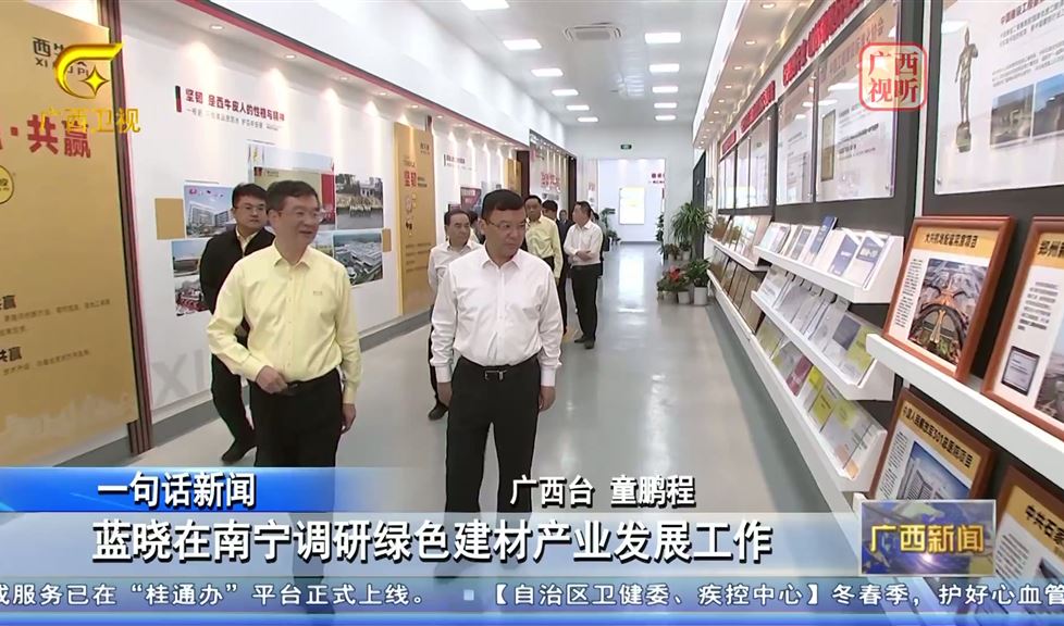 西牛皮（南宁）科技园迎来广西壮族自治区人民政府副主席蓝晓一行
