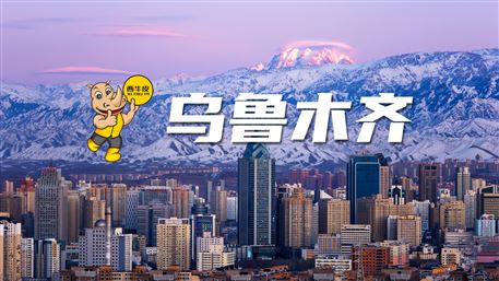 西牛皮-乌鲁木齐