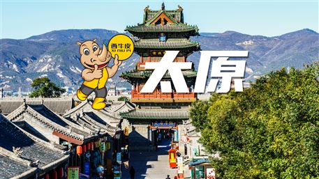 西牛皮-太原