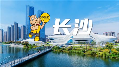 西牛皮-长沙