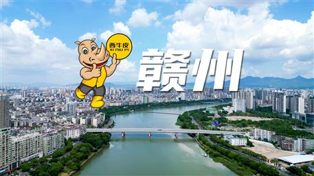 西牛皮-赣州