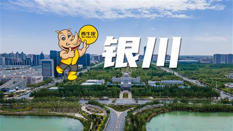 西牛皮-银川