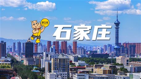 西牛皮-石家庄
